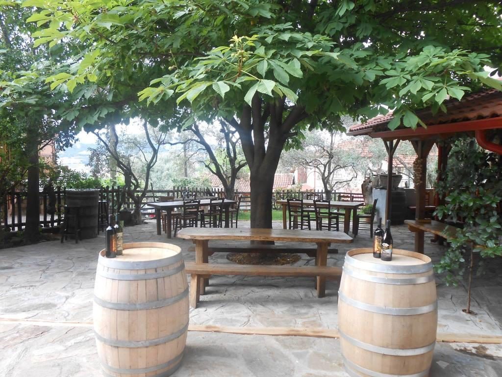 kourtis