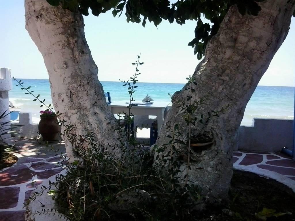 fish-tavern-kavos