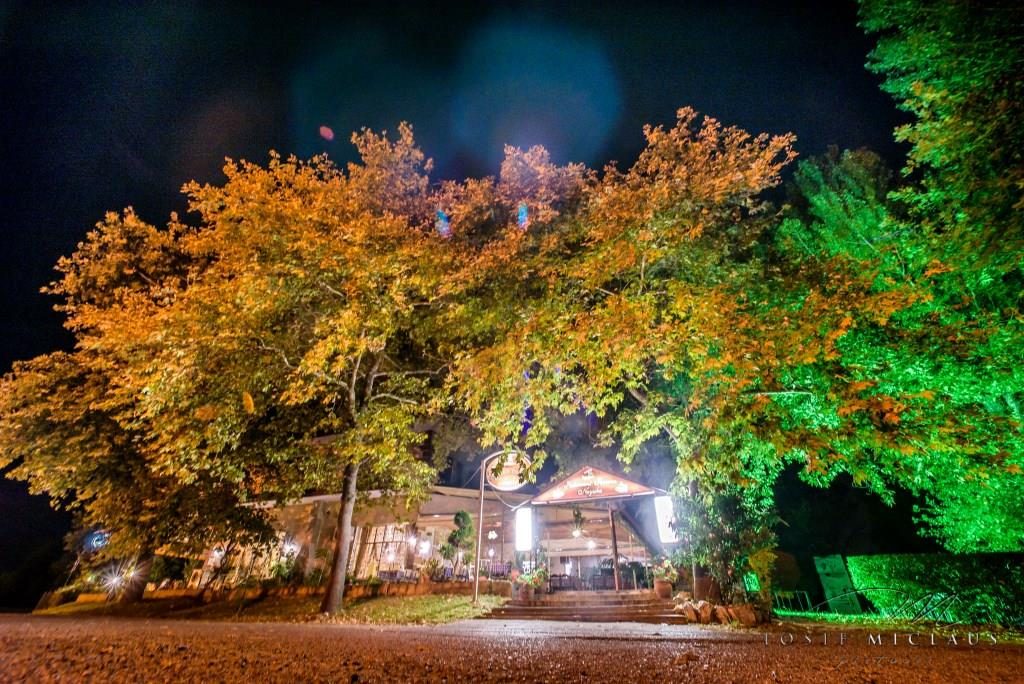hotel-naysika
