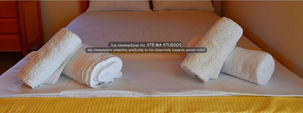 stema-studios