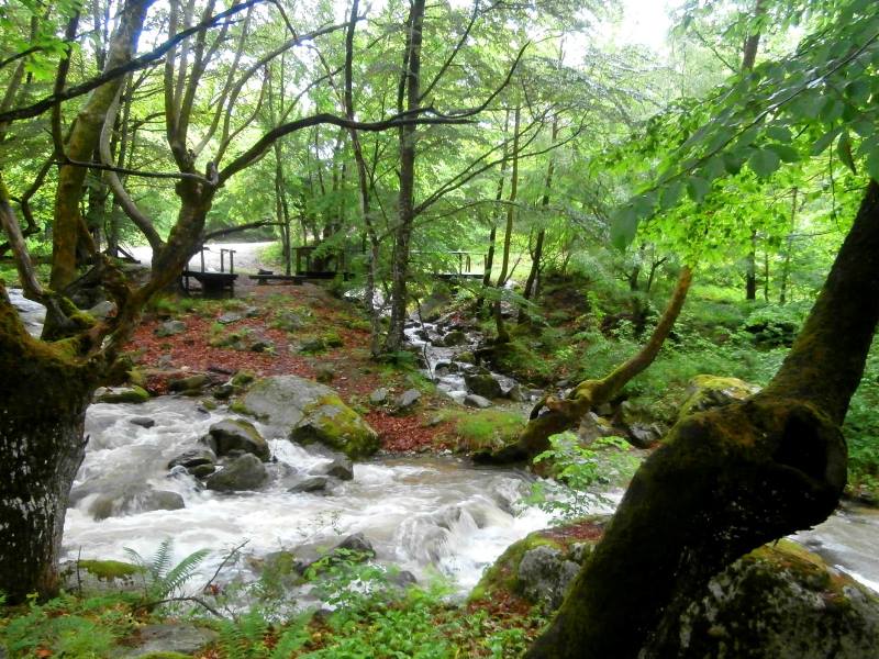 elatochori2