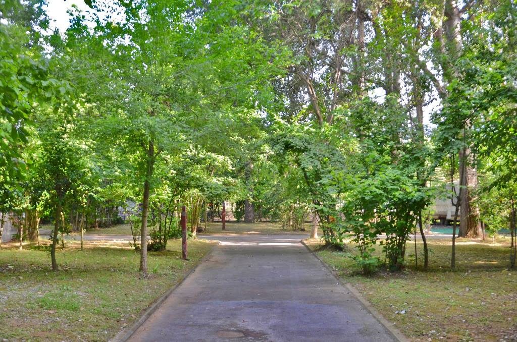 camping-orpheus-skotina2