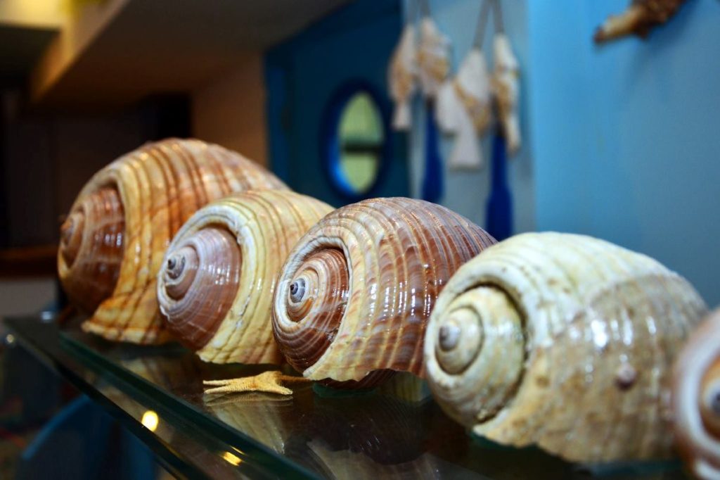 nautilos-taverna-paralia1